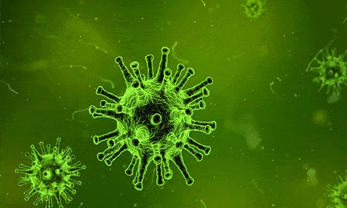 come proteggersi da virus e batteri